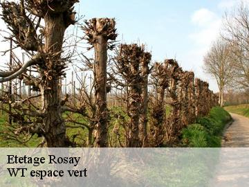 Etetage rosay-78790 WT espace vert