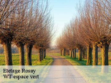 Etetage rosay-78790 WT espace vert