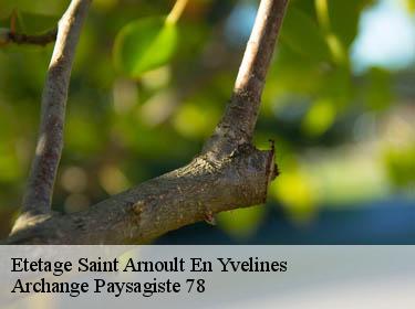 Etetage  saint-arnoult-en-yvelines-78730 Archange Paysagiste 78