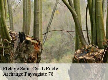 Etetage  saint-cyr-l-ecole-78210 Archange Paysagiste 78