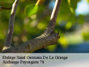 Etetage  saint-germain-de-la-grange-78640 Archange Paysagiste 78