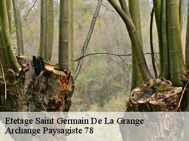 Etetage  saint-germain-de-la-grange-78640 Archange Paysagiste 78