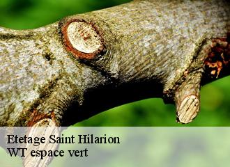 Etetage saint-hilarion-78125 WT espace vert