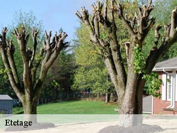 Etetage saint-hilarion-78125 WT espace vert