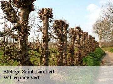 Etetage  saint-lambert-78470 Archange Paysagiste 78