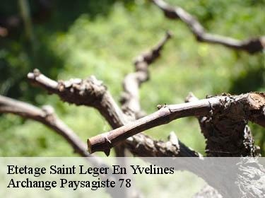 Etetage  saint-leger-en-yvelines-78610 Archange Paysagiste 78