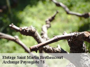 Etetage  saint-martin-brethencourt-78660 Archange Paysagiste 78