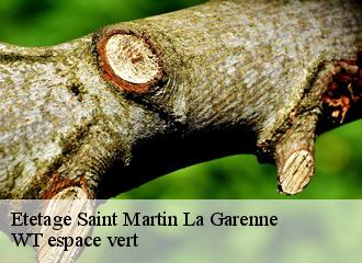 Etetage saint-martin-la-garenne-78520 WT espace vert