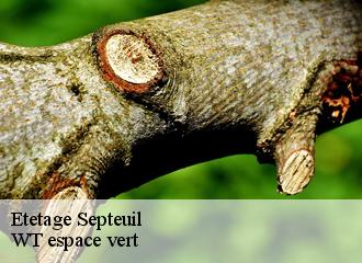 Etetage septeuil-78790 WT espace vert