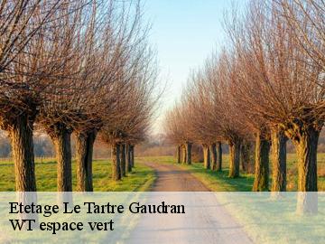 Etetage le-tartre-gaudran-78113 WT espace vert