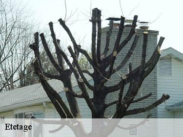 Etetage  thiverval-grignon-78850 Archange Paysagiste 78