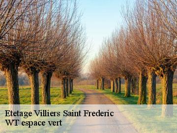Etetage villiers-saint-frederic-78640 WT espace vert