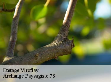 Etetage  viroflay-78220 Archange Paysagiste 78