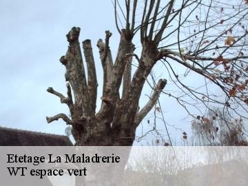 Etetage la-maladrerie-78300 WT espace vert
