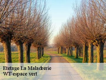 Etetage la-maladrerie-78300 WT espace vert