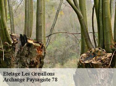 Etetage  les-gresillons-78955 Archange Paysagiste 78