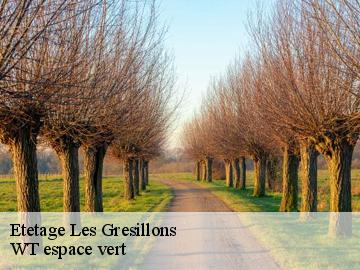 Etetage les-gresillons-78955 WT espace vert