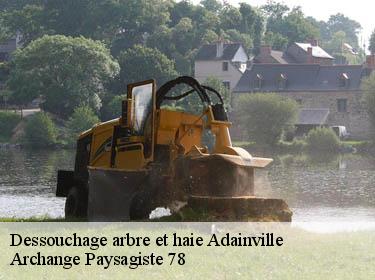 Dessouchage arbre et haie  adainville-78113 Archange Paysagiste 78