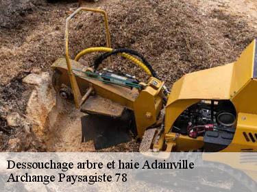Dessouchage arbre et haie  adainville-78113 Archange Paysagiste 78