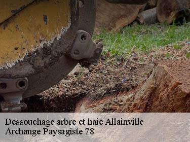 Dessouchage arbre et haie  allainville-78660 Archange Paysagiste 78