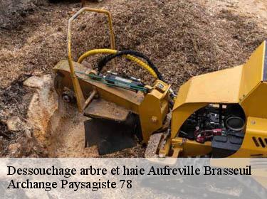 Dessouchage arbre et haie  aufreville-brasseuil-78930 Archange Paysagiste 78