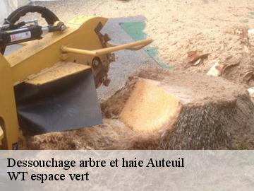 Dessouchage arbre et haie auteuil-78770 WT espace vert
