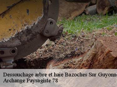 Dessouchage arbre et haie  bazoches-sur-guyonne-78490 Archange Paysagiste 78
