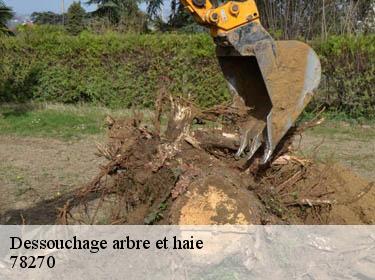 Dessouchage arbre et haie  bennecourt-78270 Archange Paysagiste 78