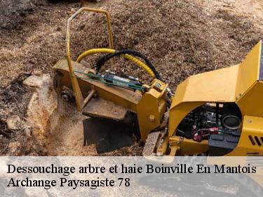 Dessouchage arbre et haie  boinville-en-mantois-78930 Archange Paysagiste 78