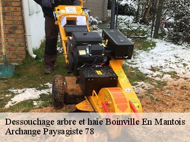 Dessouchage arbre et haie  boinville-en-mantois-78930 Archange Elagage