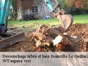 Dessouchage arbre et haie  boinville-le-gaillard-78660 WT espace vert 
