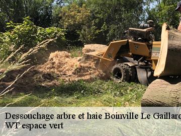 Dessouchage arbre et haie  boinville-le-gaillard-78660 WT espace vert 