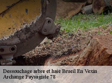 Dessouchage arbre et haie  brueil-en-vexin-78440 Archange Paysagiste 78