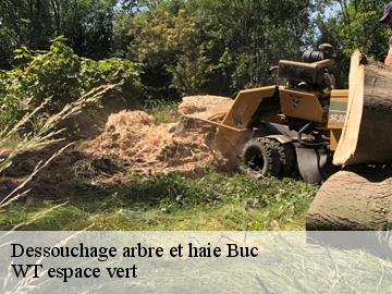Dessouchage arbre et haie buc-78530 WT espace vert