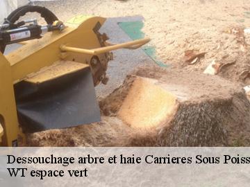 Dessouchage arbre et haie carrieres-sous-poissy-78955 WT espace vert