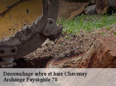 Dessouchage arbre et haie  chavenay-78450 Archange Paysagiste 78