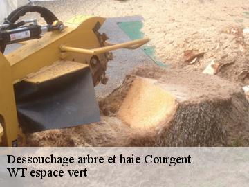 Dessouchage arbre et haie courgent-78790 WT espace vert