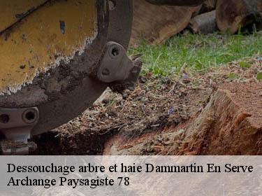 Dessouchage arbre et haie  dammartin-en-serve-78111 Archange Paysagiste 78