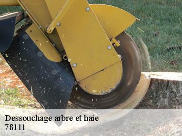 Dessouchage arbre et haie dammartin-en-serve-78111 WT espace vert