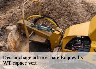 Dessouchage arbre et haie  ecquevilly-78920 Archange Paysagiste 78