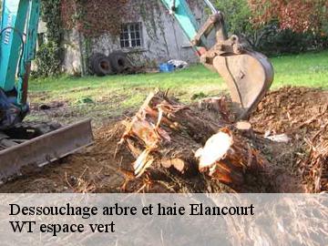Dessouchage arbre et haie elancourt-78990 WT espace vert