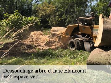 Dessouchage arbre et haie elancourt-78990 WT espace vert
