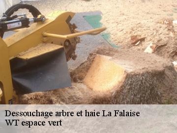 Dessouchage arbre et haie la-falaise-78410 WT espace vert