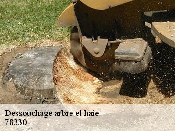 Dessouchage arbre et haie fontenay-le-fleury-78330 WT espace vert