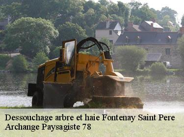 Dessouchage arbre et haie  fontenay-saint-pere-78440 Archange Paysagiste 78