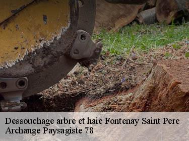 Dessouchage arbre et haie  fontenay-saint-pere-78440 Archange Paysagiste 78