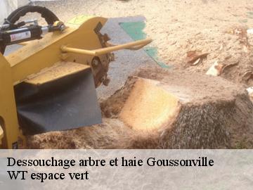 Dessouchage arbre et haie goussonville-78930 WT espace vert