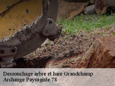 Dessouchage arbre et haie  grandchamp-78113 Archange Paysagiste 78