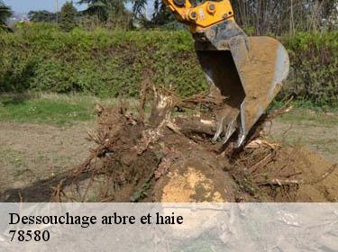 Dessouchage arbre et haie  herbeville-78580 Archange Paysagiste 78