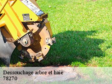 Dessouchage arbre et haie jeufosse-78270 WT espace vert